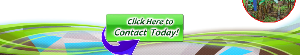 click-here-contact-us