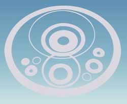 PTFE GASKETS