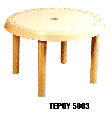 Tepoy