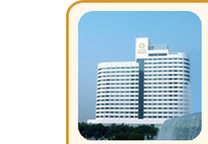 Hotel Star - 4 Star Hotel Star - 4 Star