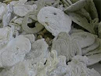 polyesterfiber polyesterfiber