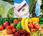 Fruit And Vegetables Fruit And Vegetables