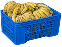 banana-crates banana-crates