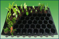 Seedling Tray Machine Seedling Tray Machine