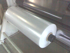 Tubing Plant-4