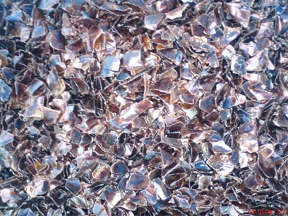 PET Scrap