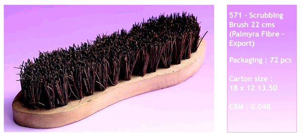Floor Scrubbing Brush