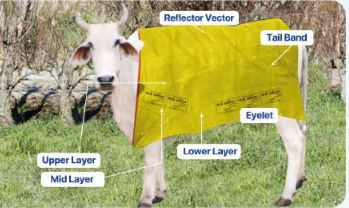 Cow/Cattle Jacket-2