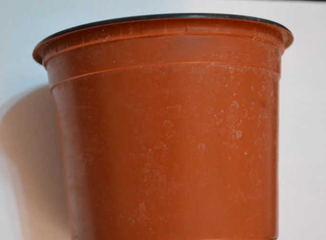 Thermoforming Machines for Pots for Plants-4