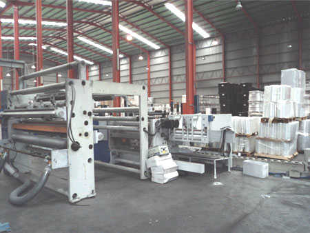 Primplast 5 Layer Cast Film Line_6