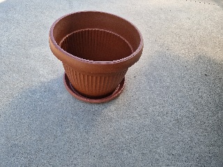 Flower Bed - 2