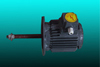 Electric Motors Electric Motors