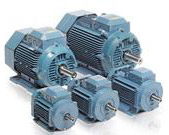 Totally Enclosed Fan Cooled (TEFC) Cage Motors Totally Enclosed Fan Cooled (TEFC) Cage Motors