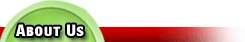 Low Density Polyethylene, Polypropylene, Linear Low Density Polyethylene, Polyvinyl chloride, Polyethylene Terephthalate