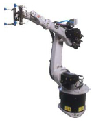 Multi Function Robot